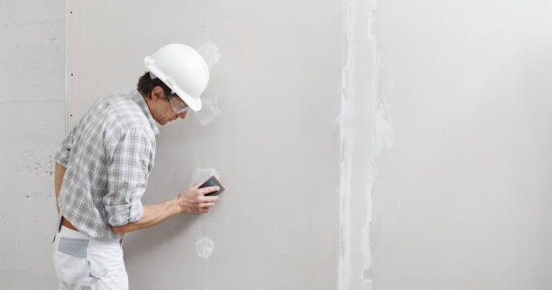 Best Commercial Painting  in Kermit, TX